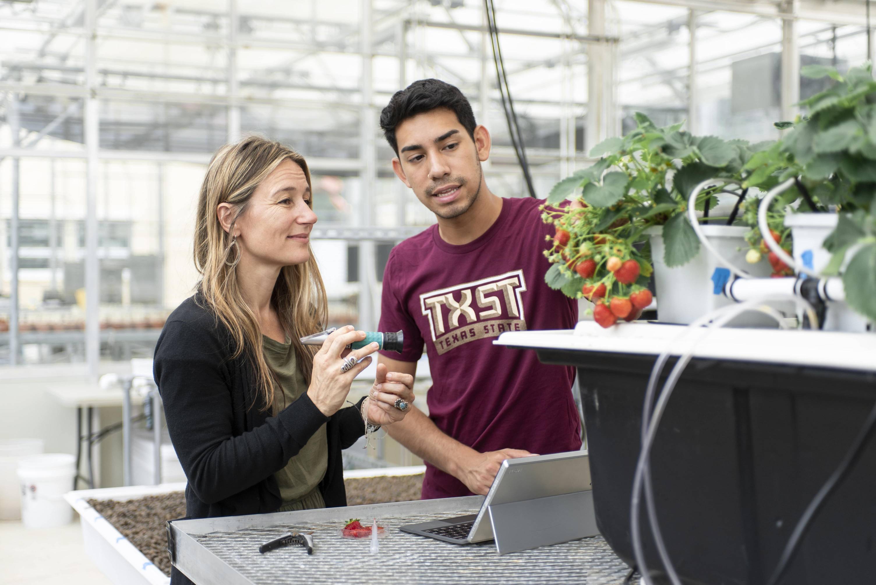 Inside a greenhouse a young man in a maroon Texas State T-shirt gestures toward a bunch of strawberries that are not quite ripe. A woman follows his line of site and holds an agricultural instrument of some kind.