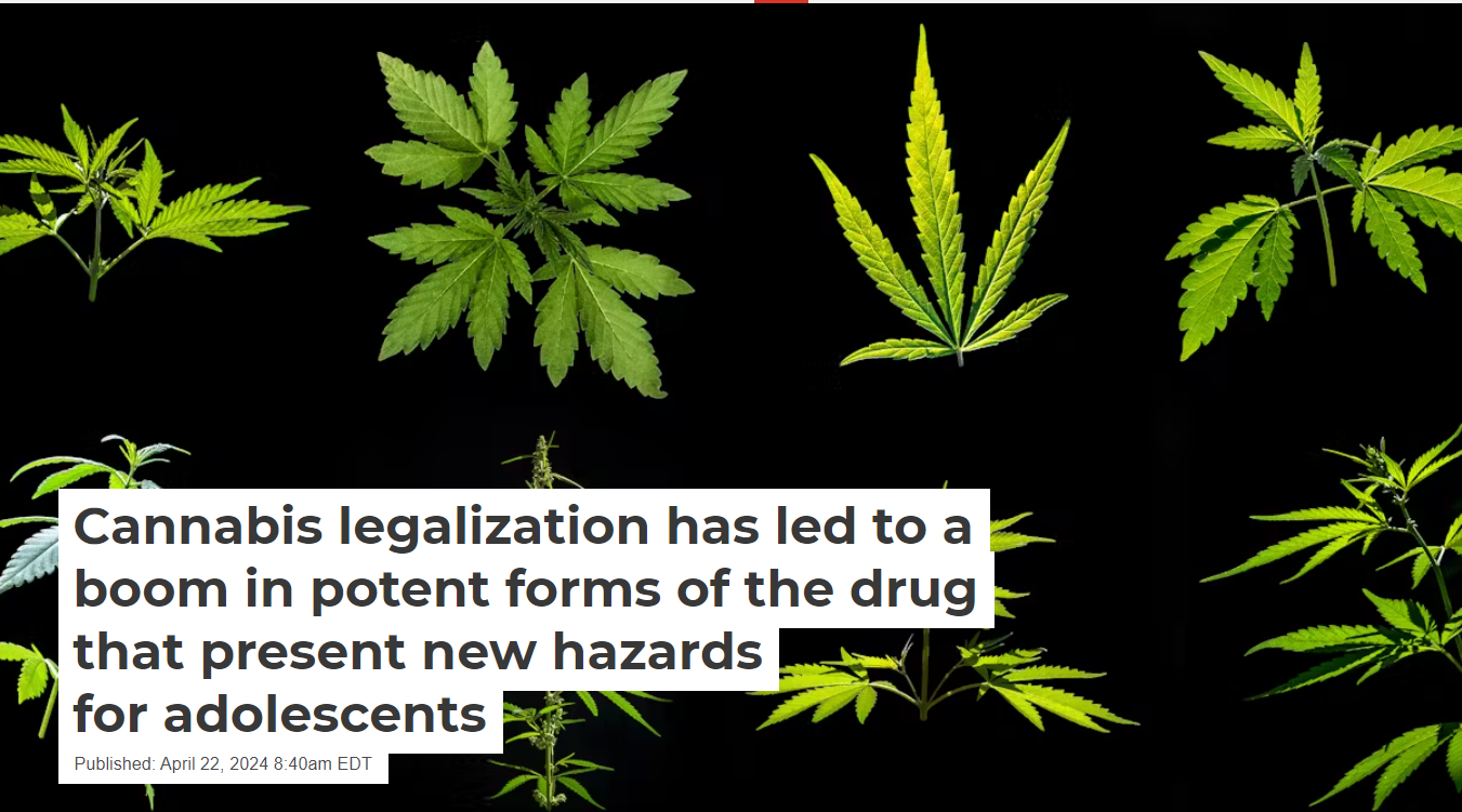 an image of cannabis leaves behind the article title