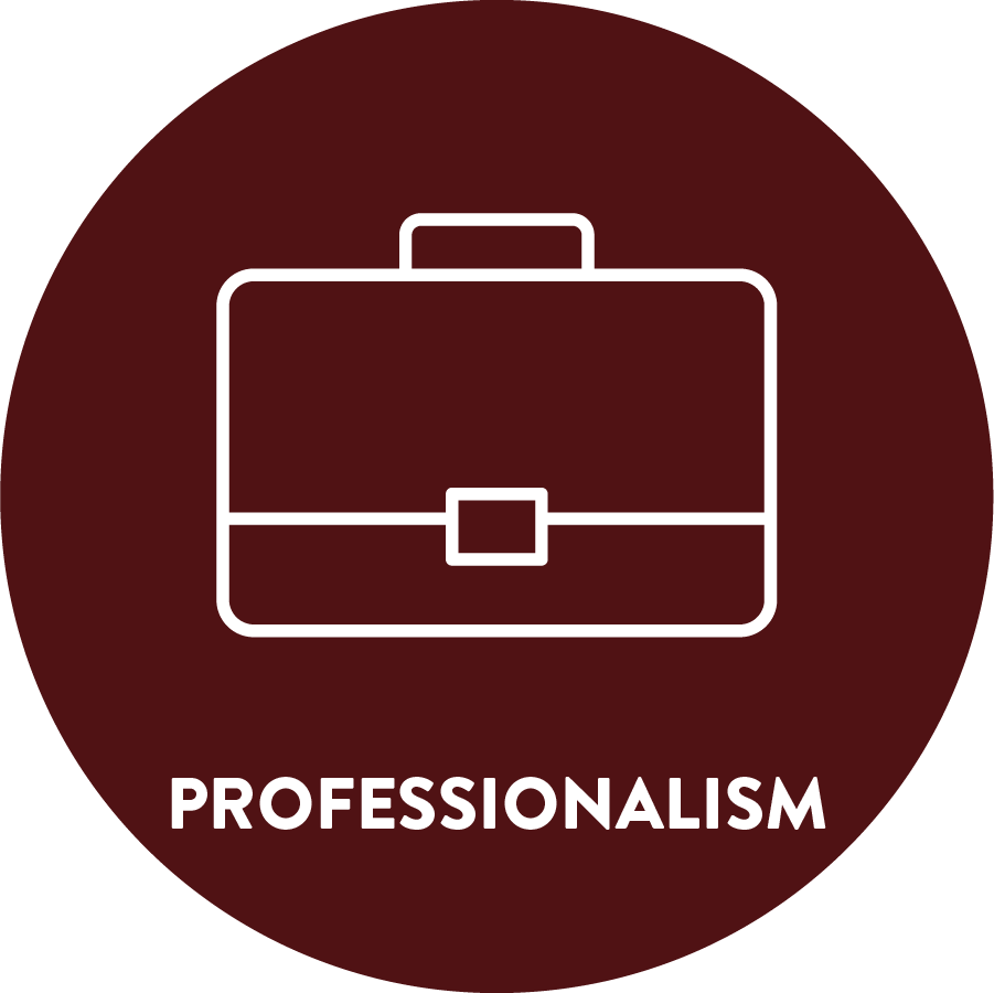 Briefcase icon and the word professionalism.