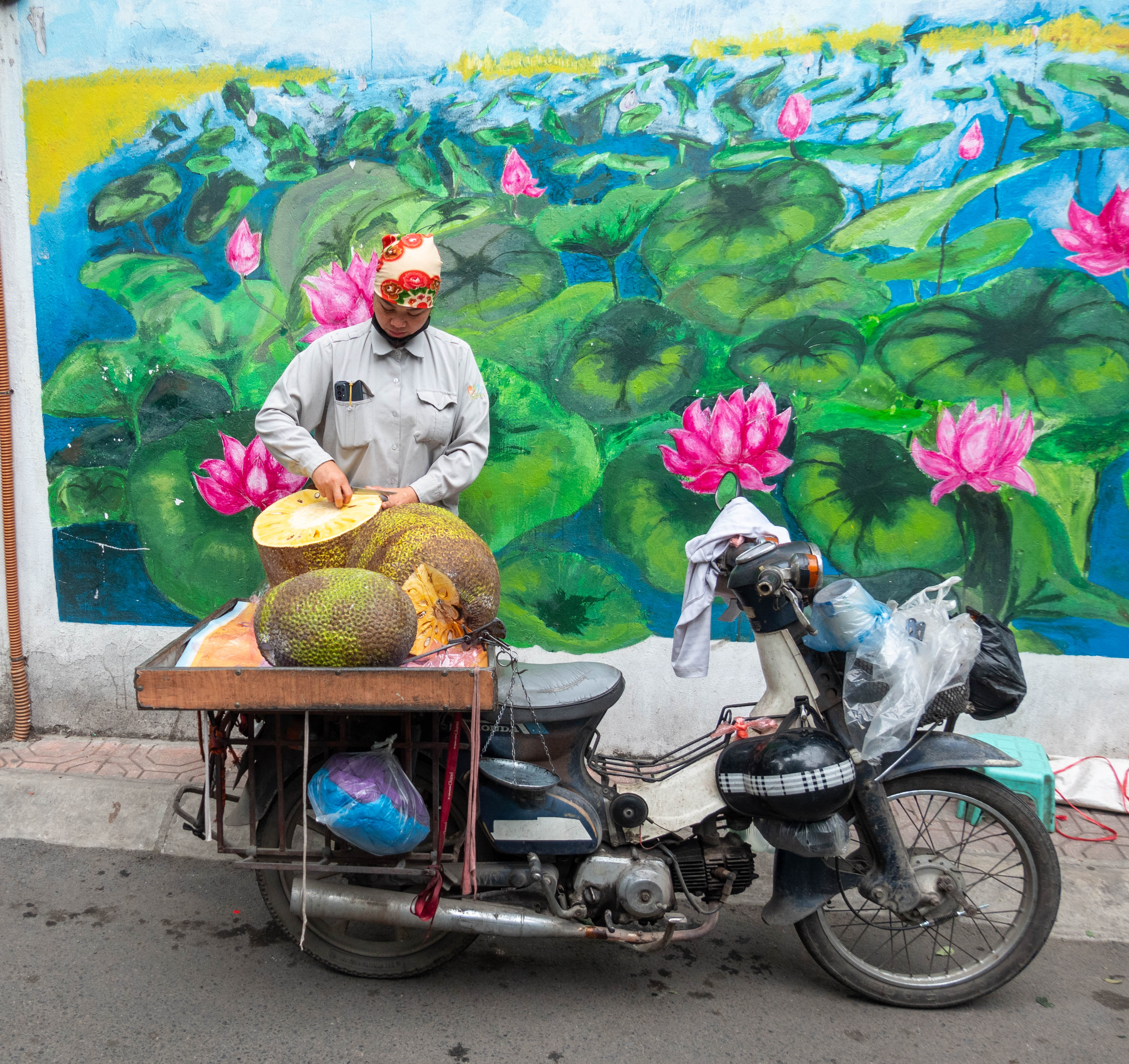 Picture of woman with three large jackfruit on the back of her motorbike. She has cut one in half and is digging the fruit out of the center.