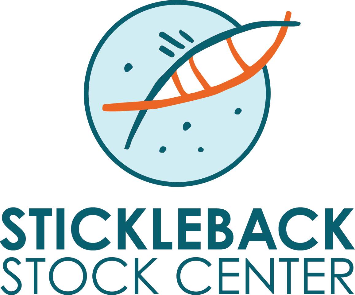 Sticklback
