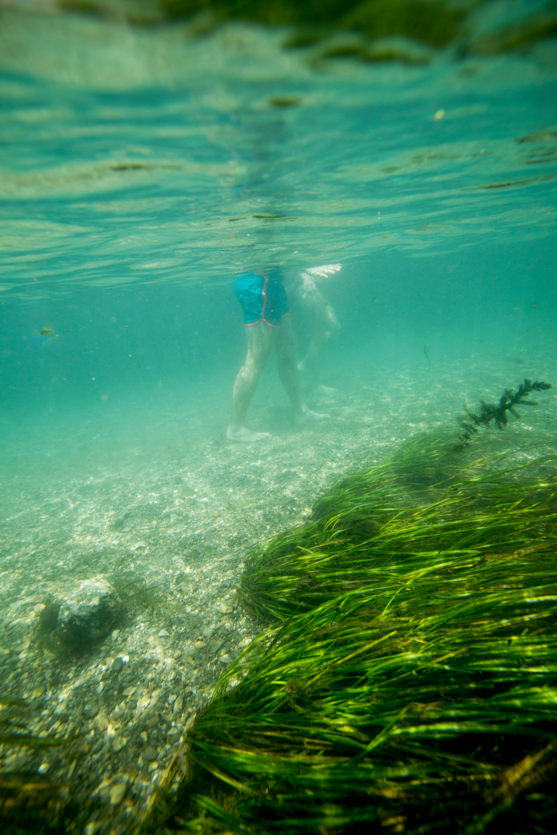 Swimmer in the river. 