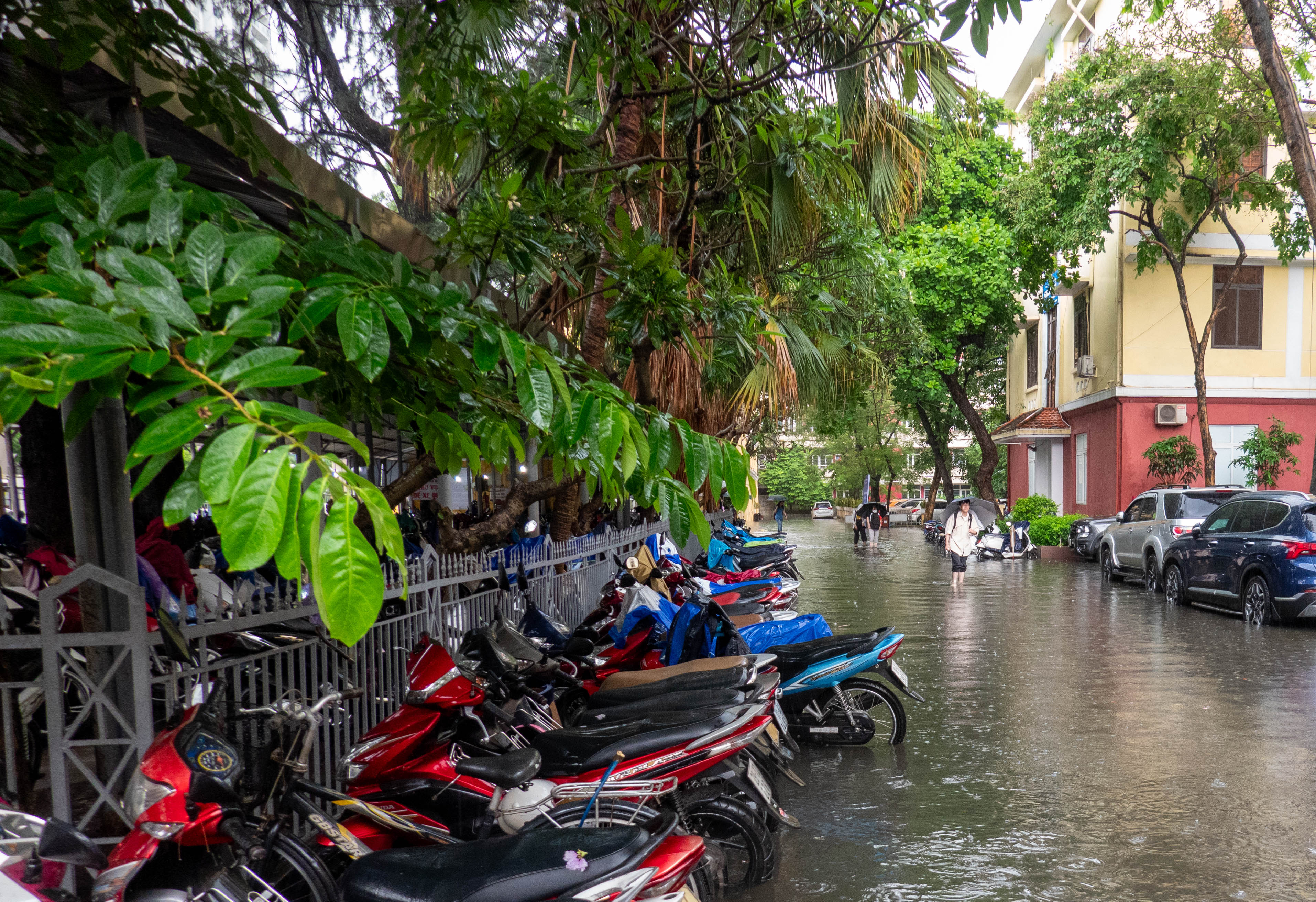 picture of flooded street. There are green trees in the upper third of the picture and parked motor bikes in the lower left quatdrant. there are people holding unbrellas wading in the water coming toward the person who took the photo.