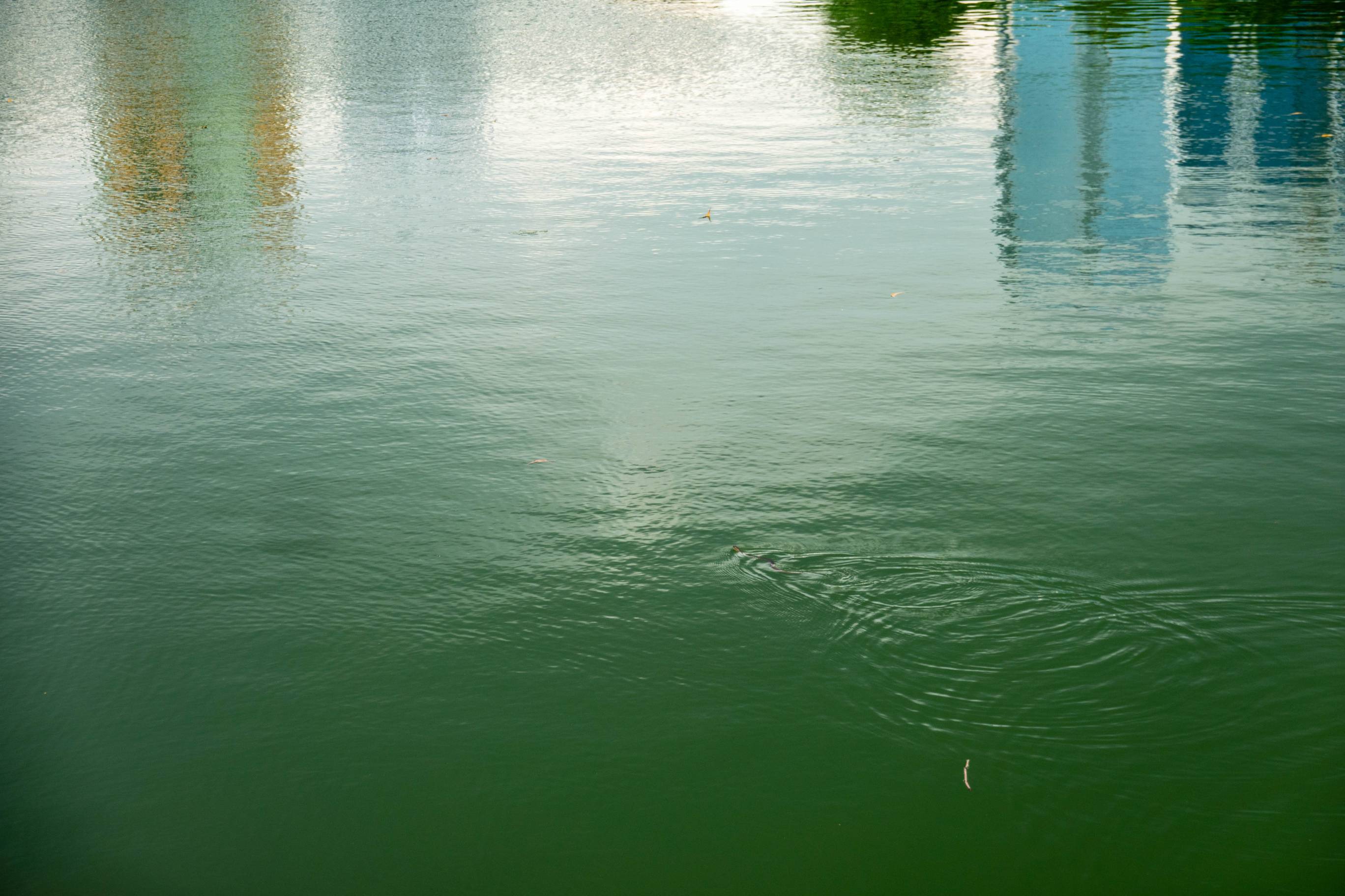 a picture of reflect buildings in a lake (top of picutre) and ripples in the green water of the lake in the bottom right quarter segment of the picture