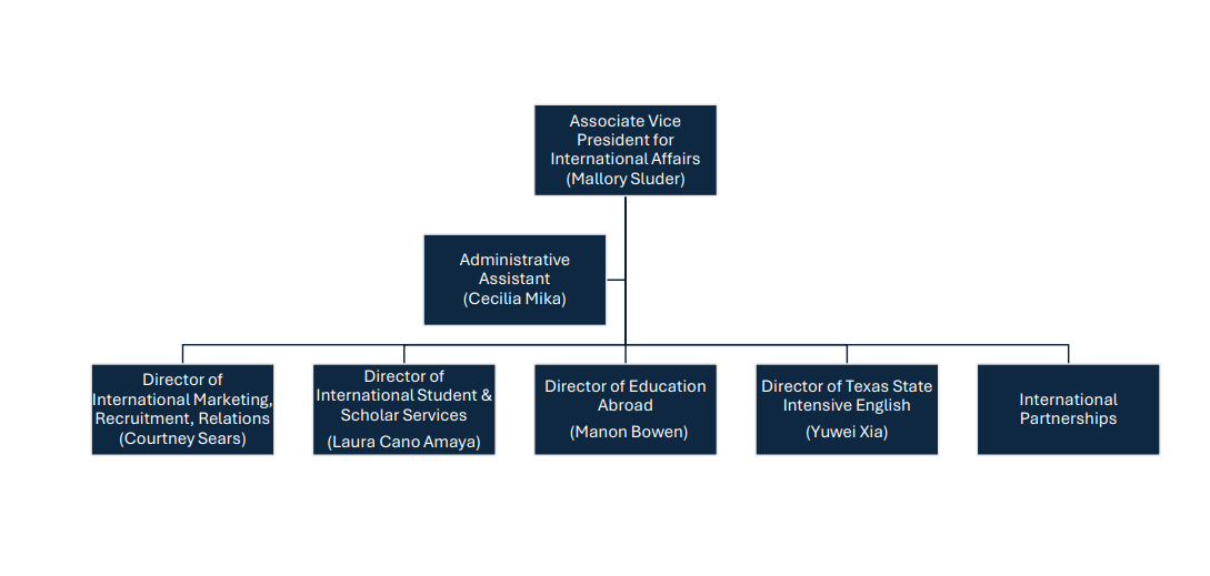 international affairs organizational chart