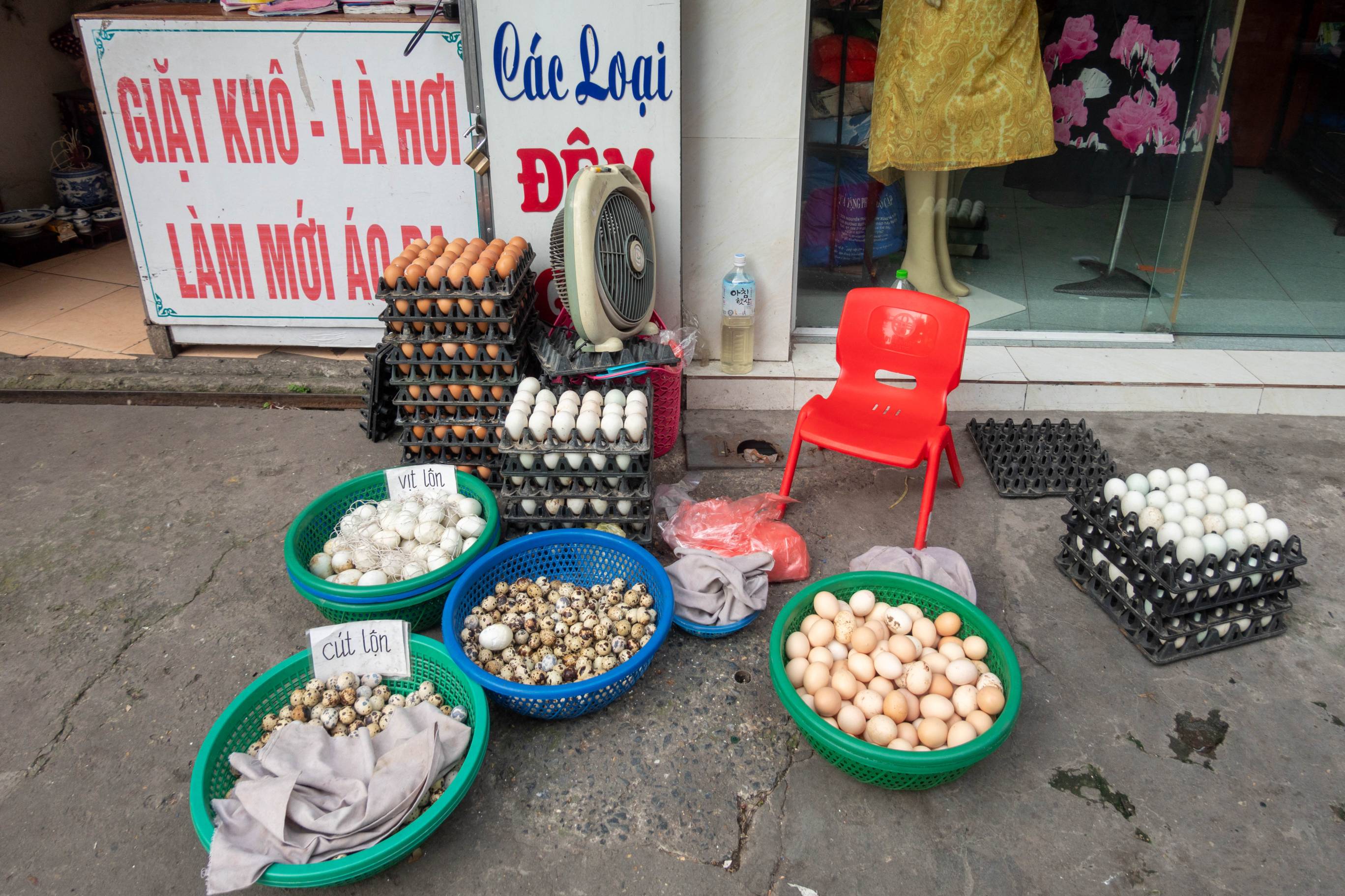 a variety of eggs for sale on the street