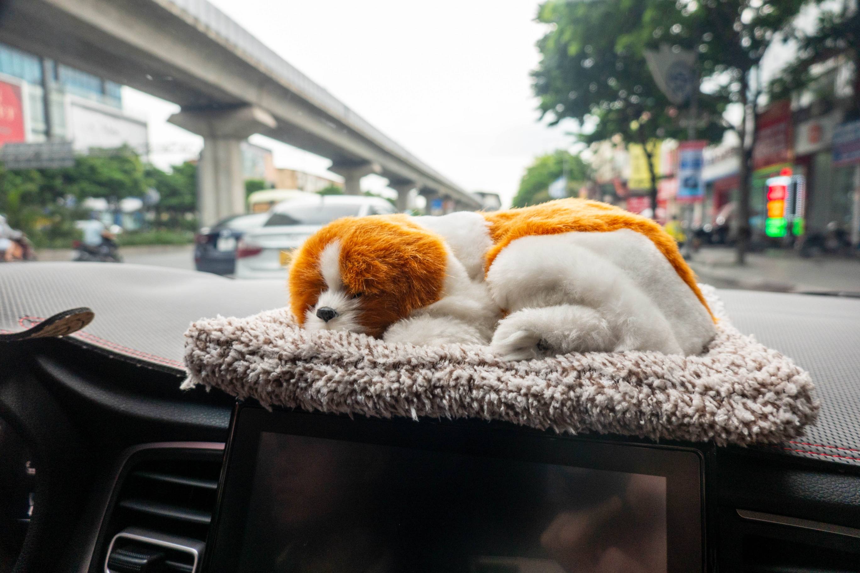 picture of stuffed organge and white  toy dog on dash of car. Dog is curlred up sleeping. Face is on left 