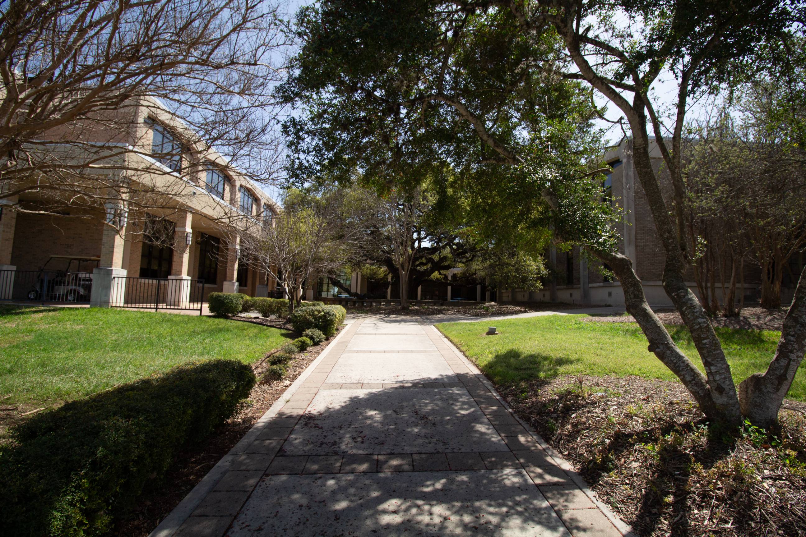 FCS Courtyard