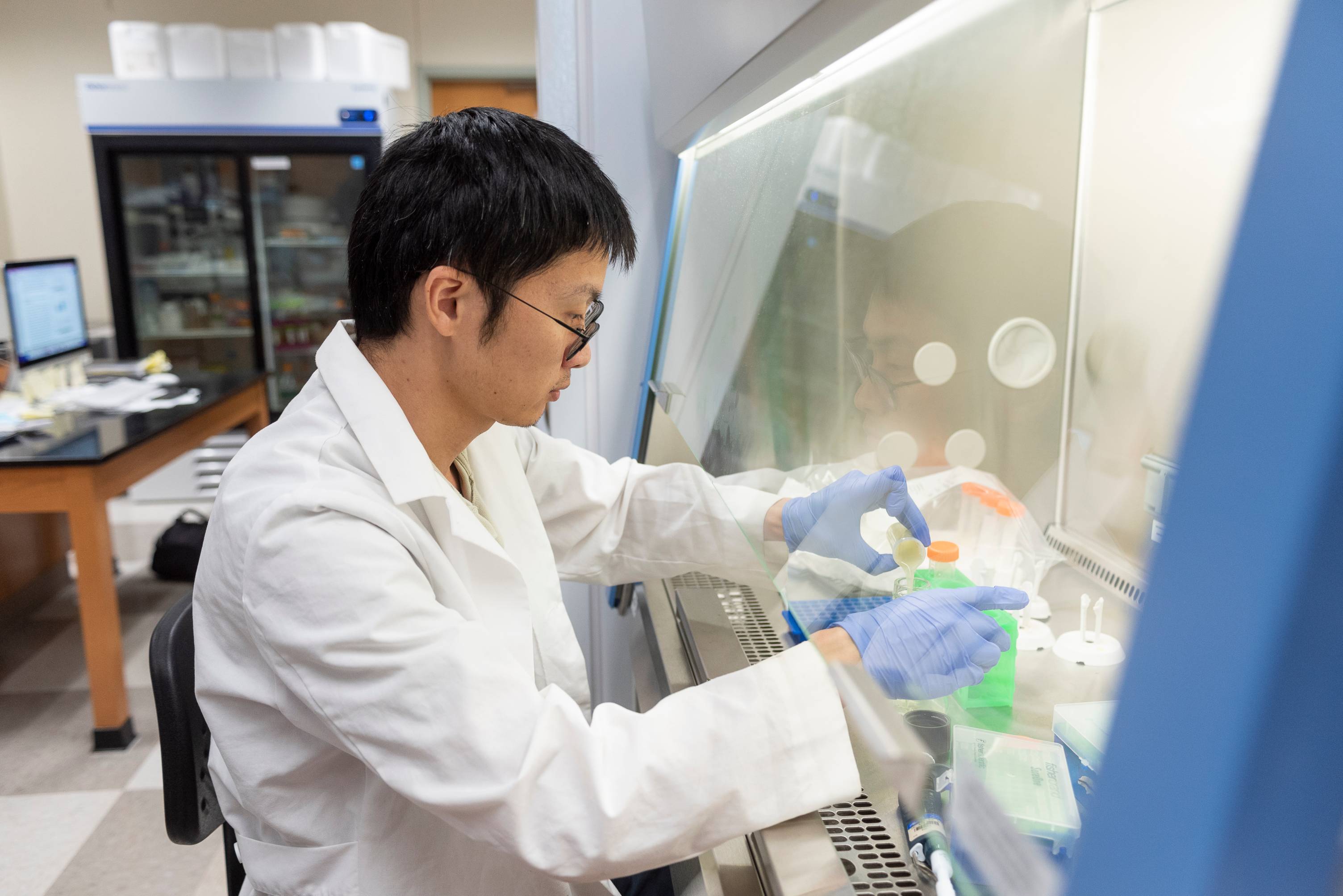 a researcher in a molecular lab