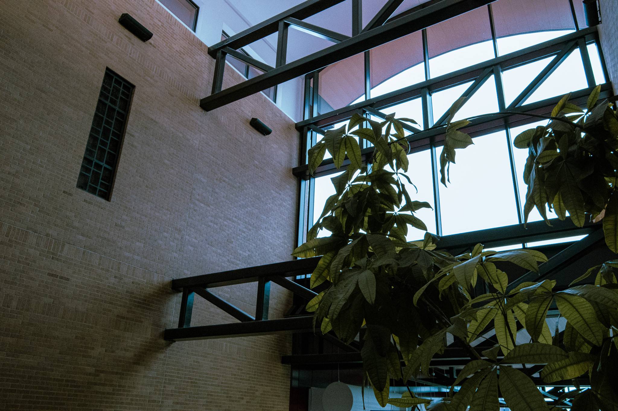 photo of the atrium in lbjsc 