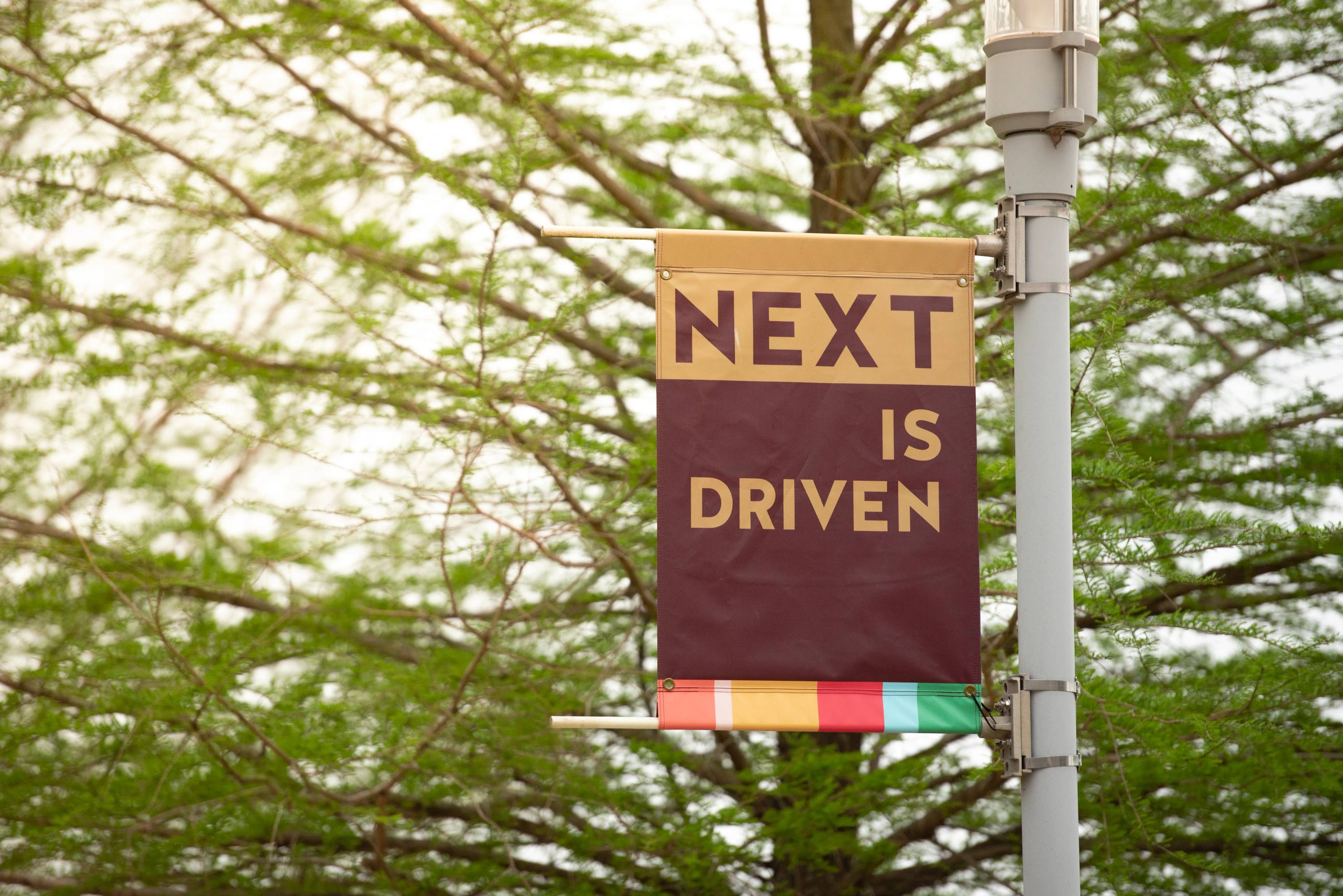 A photo of the TXST NEXT campaign flag outside on a lightpole