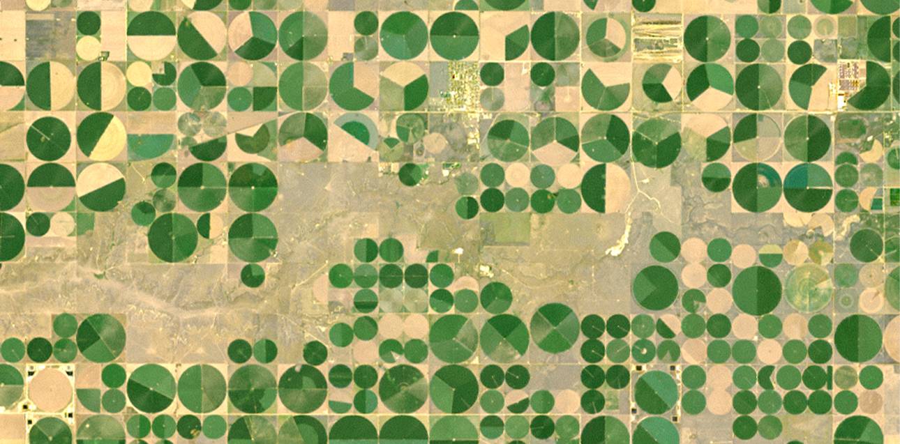 Agricultural fields surrounding Dalhart, Texas