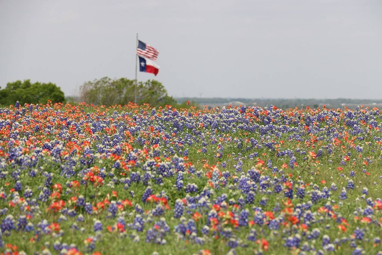 A field of Texas wildflowers with the Texas and American flag flying on a flagpole in the background.