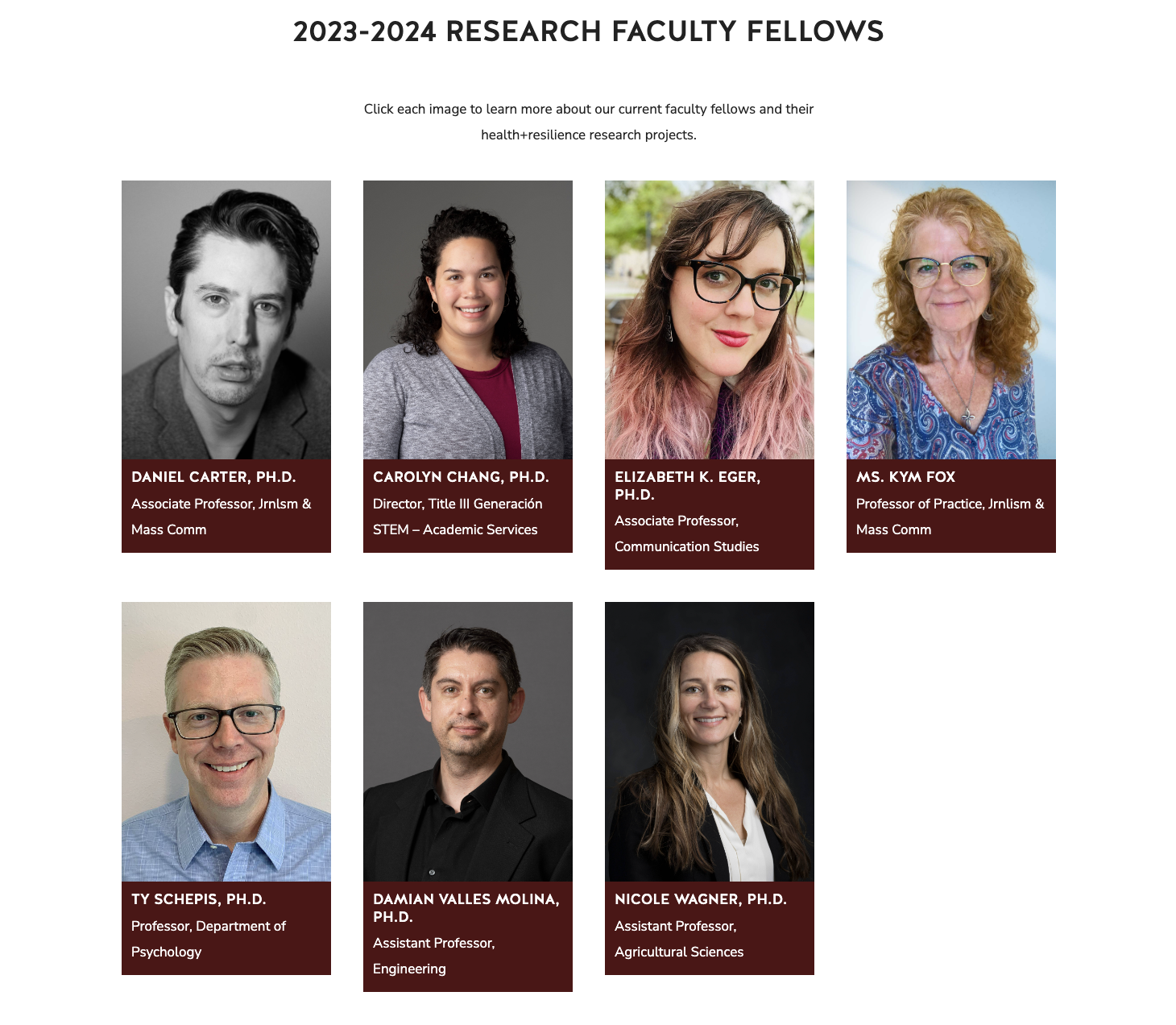 Headshots of all 7 Faculty Fellows.