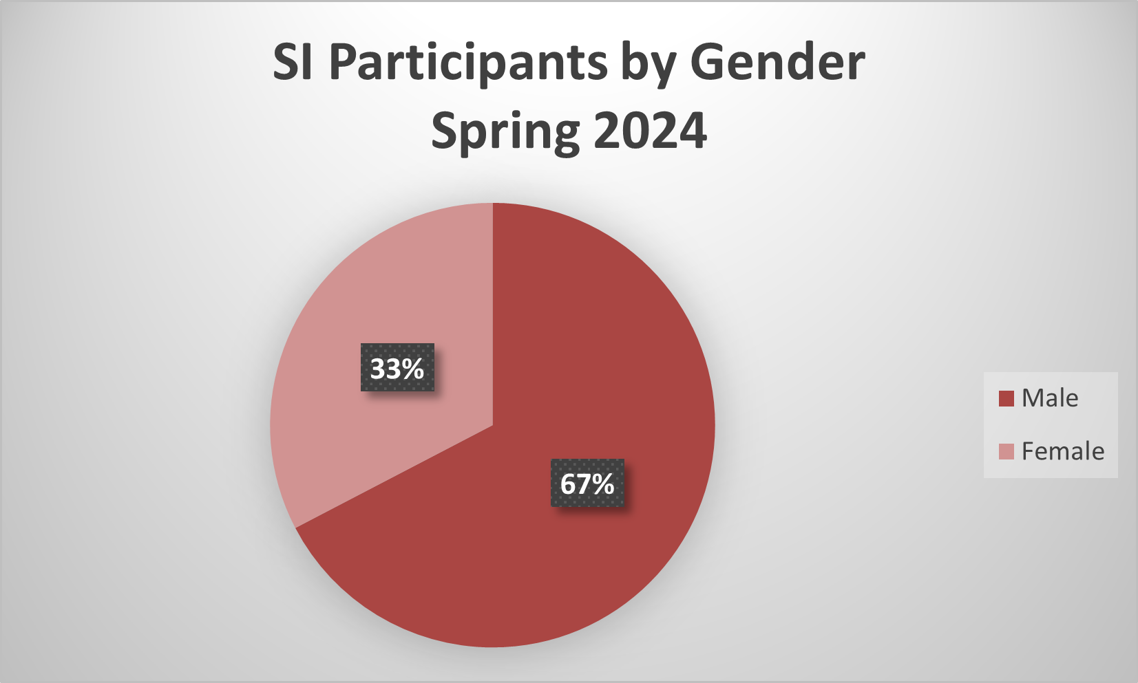 Sample Summary SI program demographic data