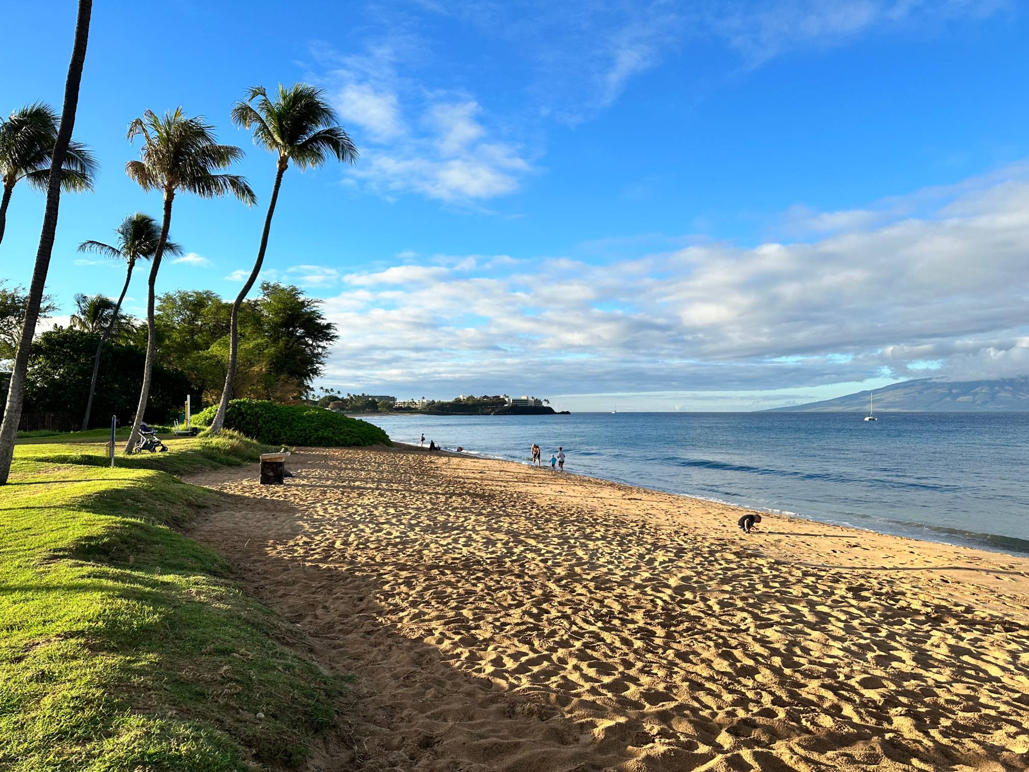 Hawaii beach