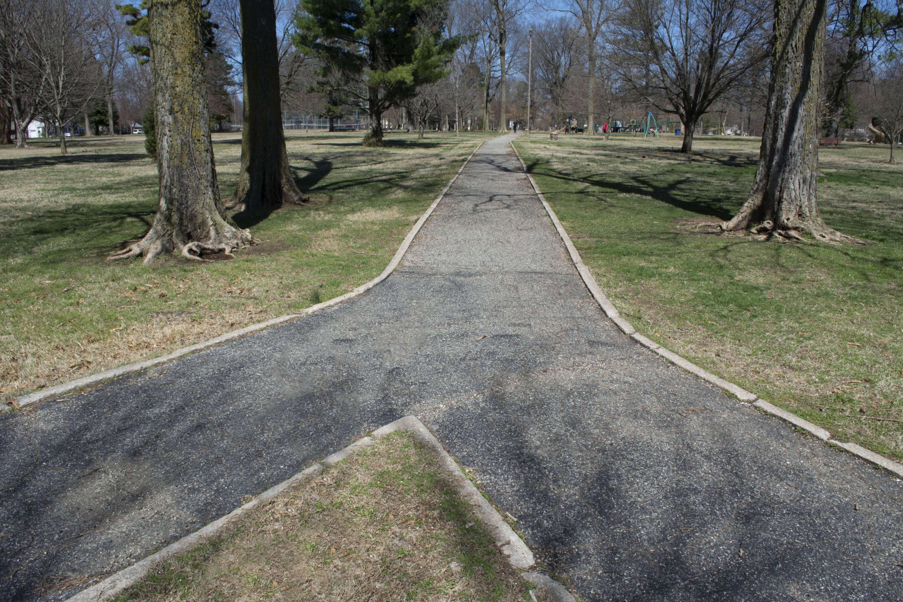 A sidewalk that divides into two sidewalks