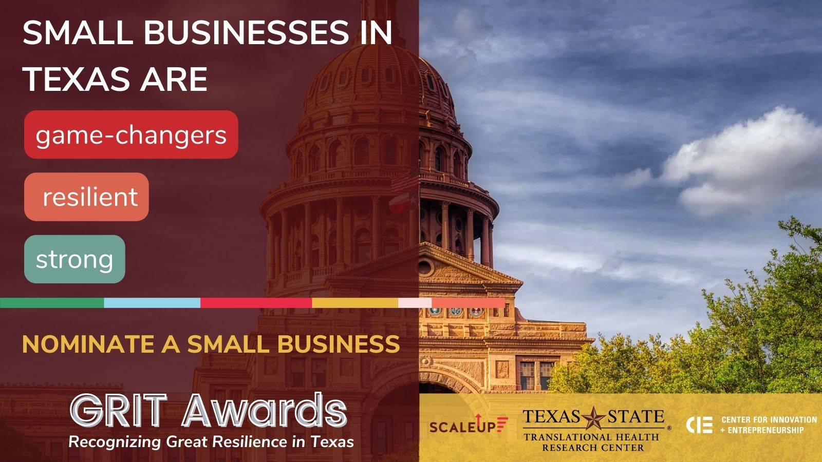 "Small Businesses in Texas State" Graphic flyer with an image of the Austin Capital