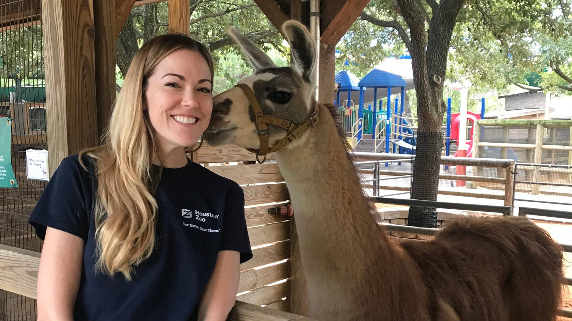 Katie Almeida with a llama