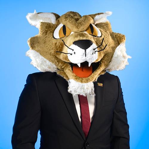 Portrait of Boko, Bobcat Mascot, as placeholder