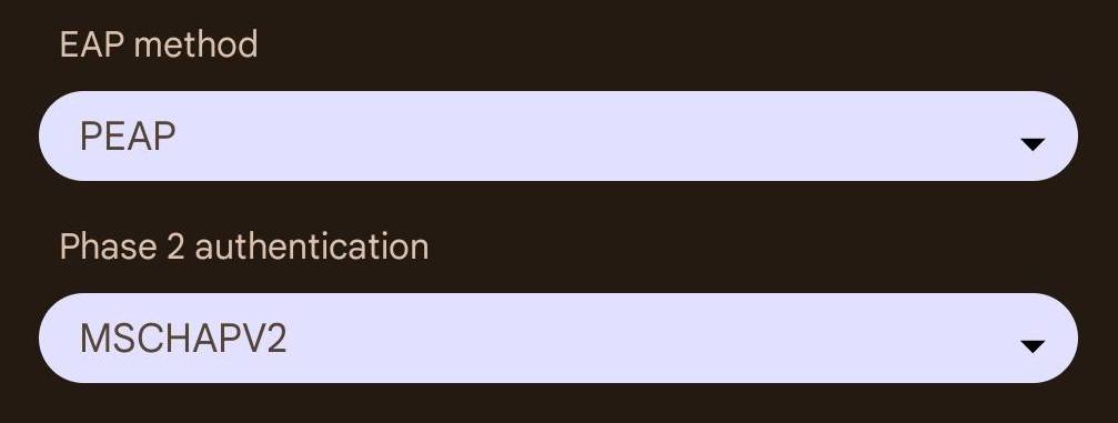 EAP method on top should be "PEAP". Phase two authentication, right below that, should be "MSCHAPV2".