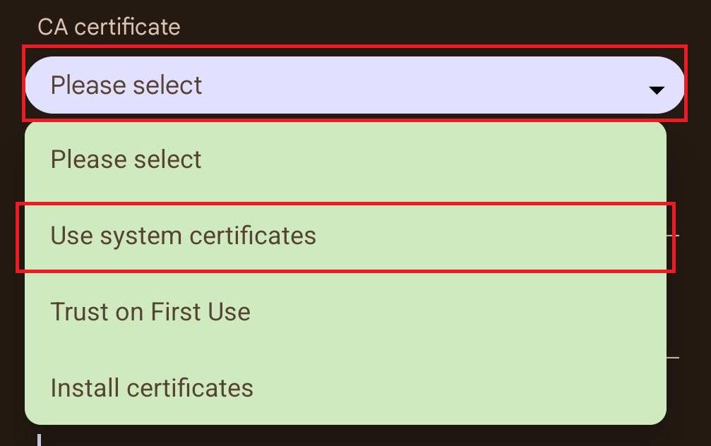 Under "CA certificate", is "Please select". The second option is "Use system certificates", choose this,