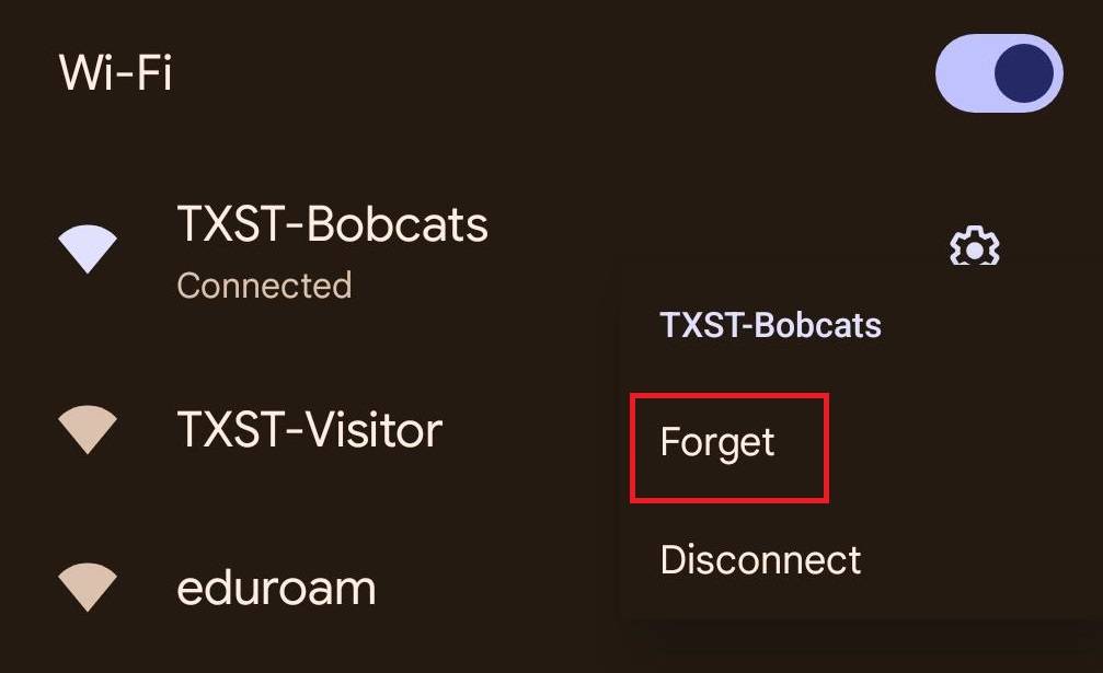 Next to TXST-Visitor, is "forget".