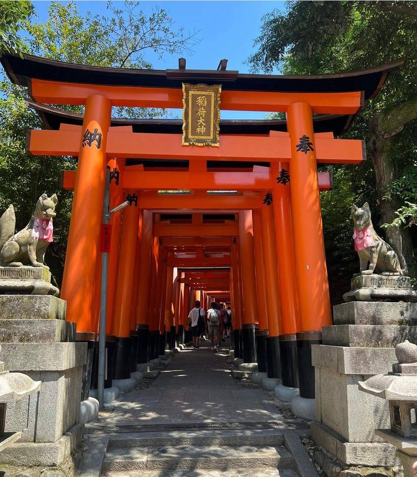a path leading through many torrii gates