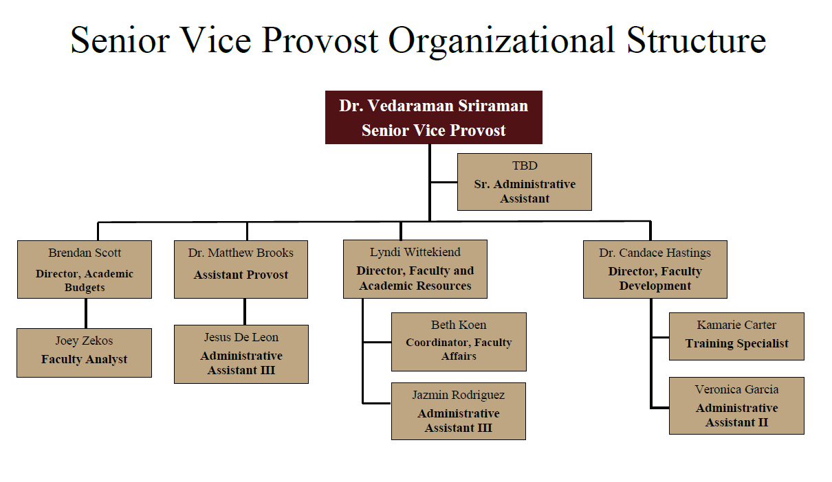 Organizational Chart for Academic and Faculty Resources