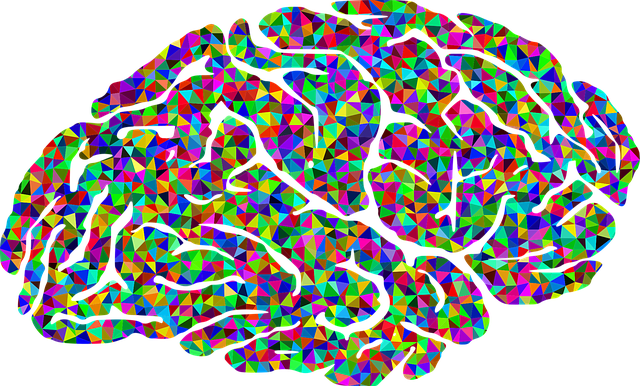 Brain picture