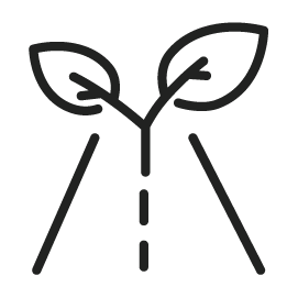 A plant growing out of a road icon, meant to represents infrastructure and environment