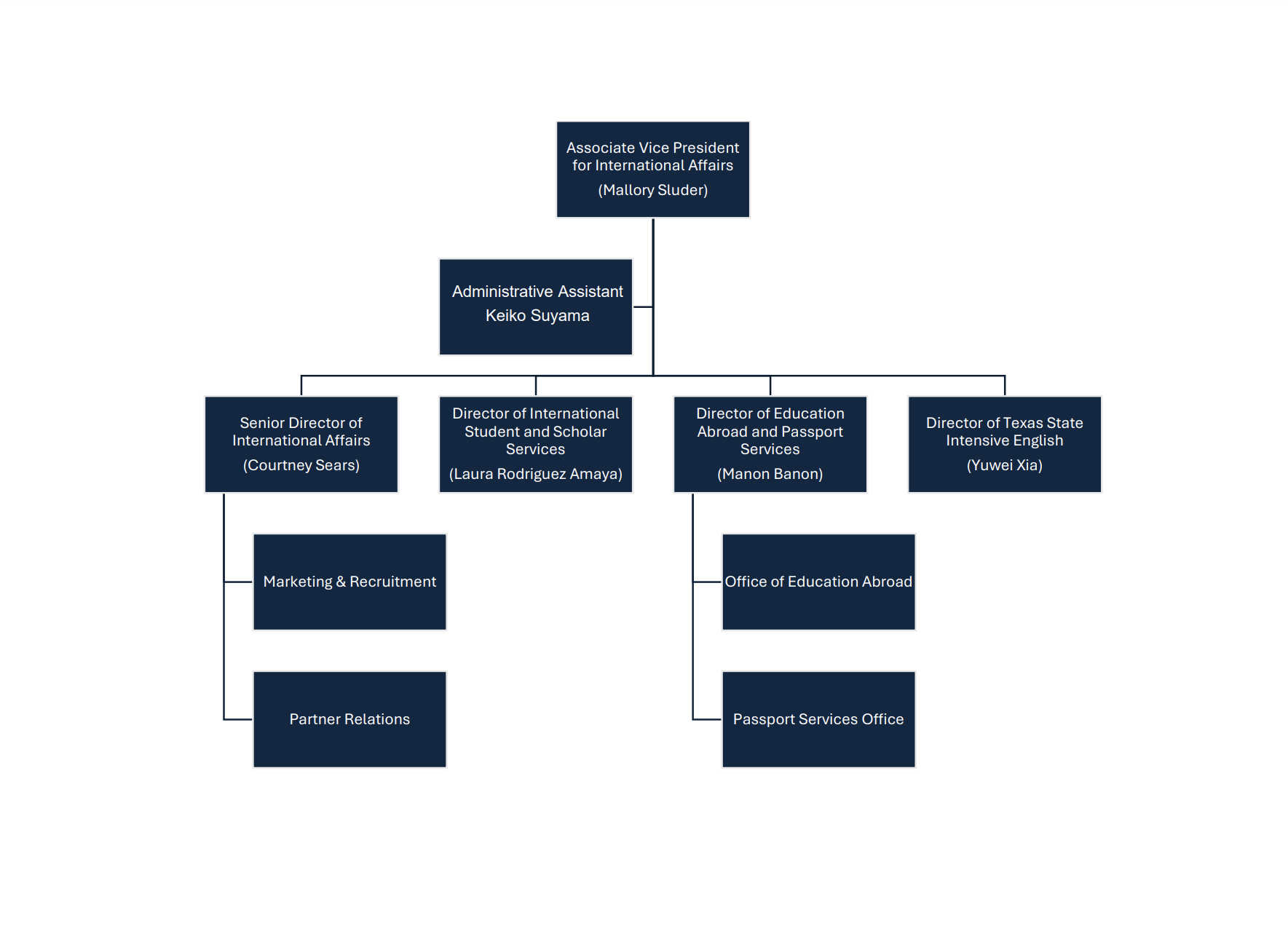 international affairs organization chart