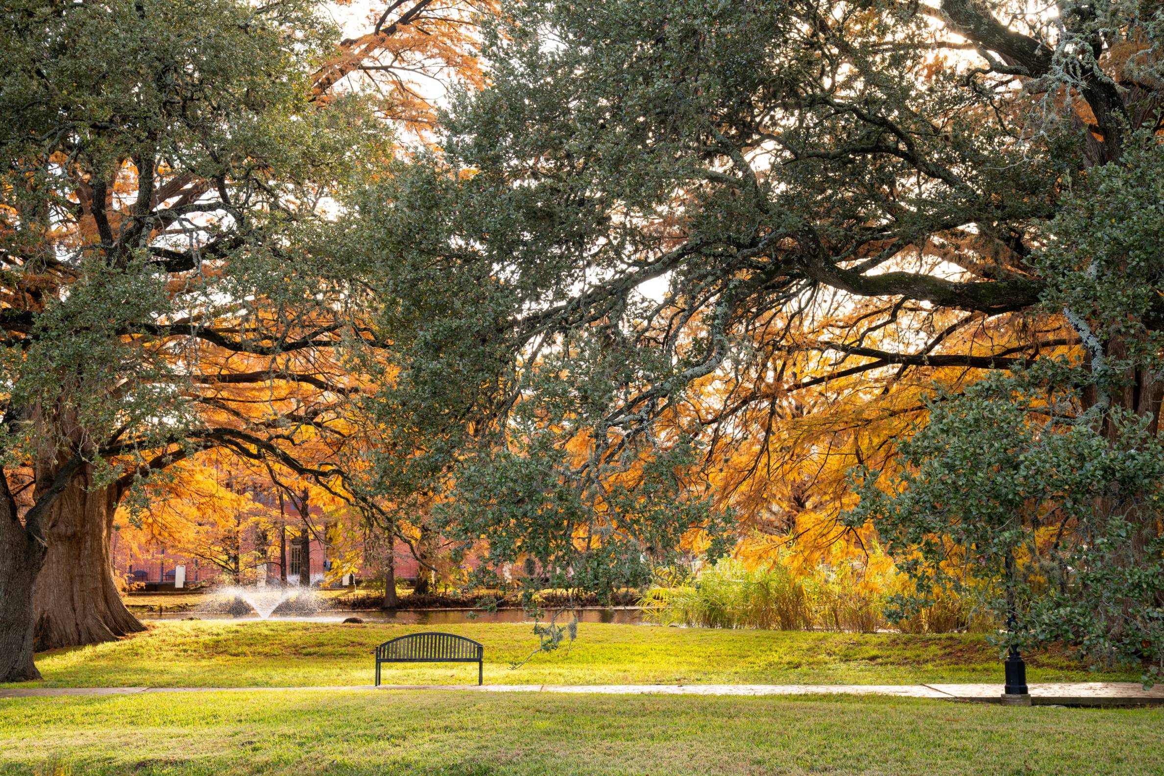 pond and bench outside of JC Kellam