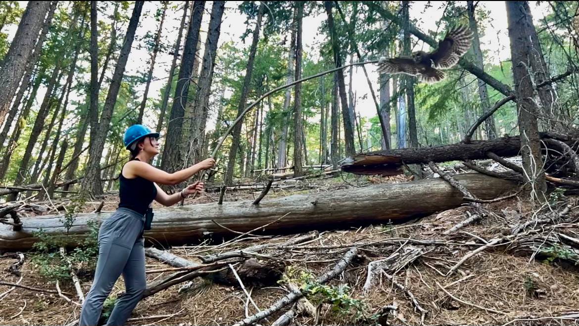 woman hiking on trail next to tree