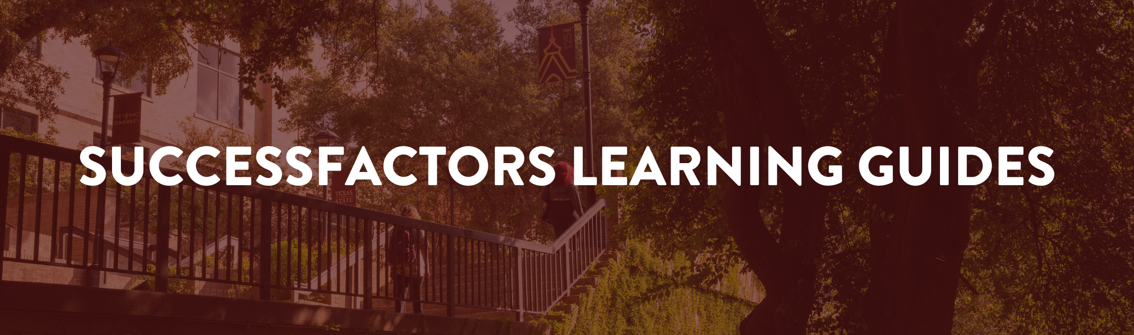 Success Factors Learning Guides