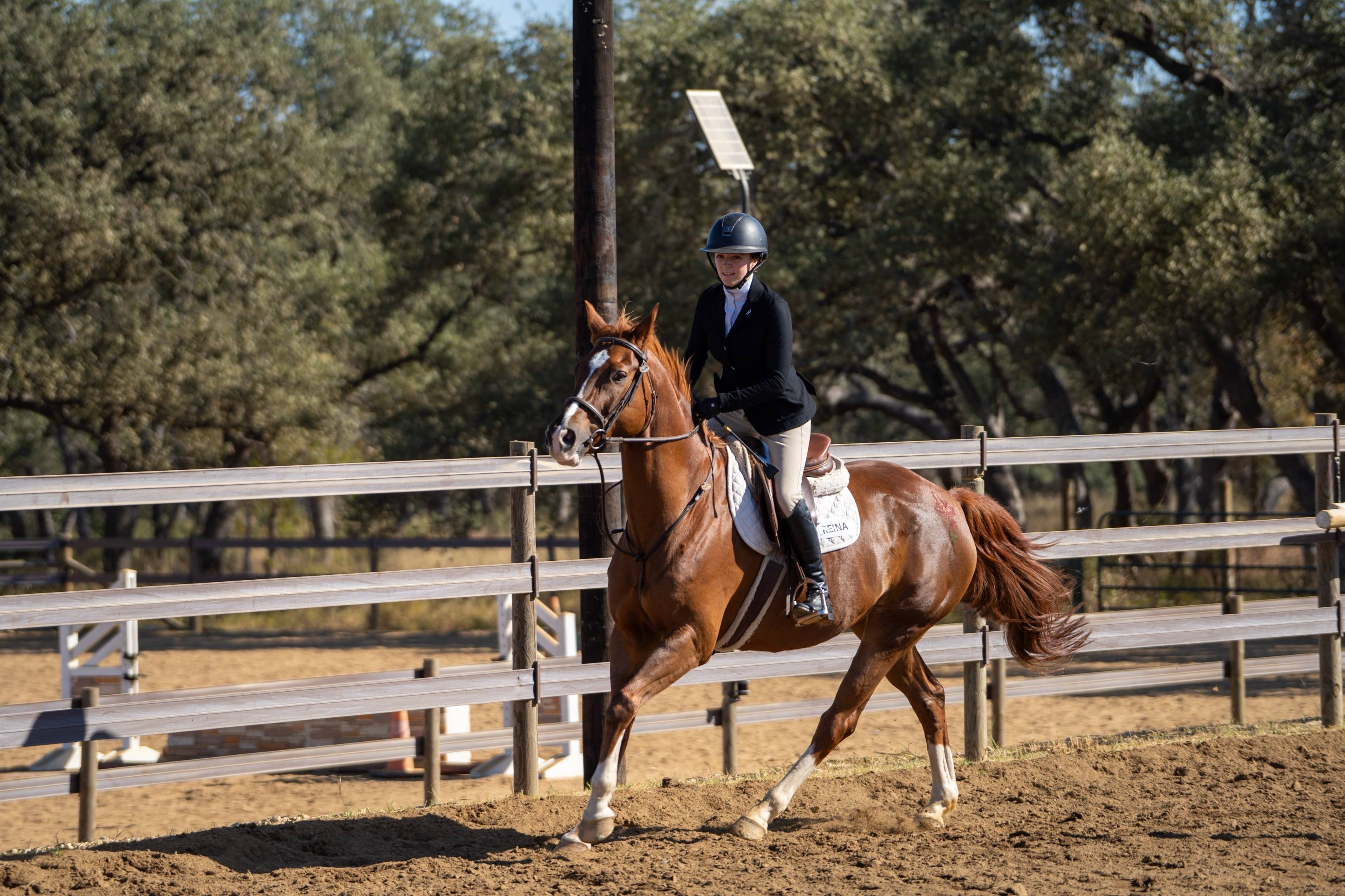 Equestrian team member showing and riding horse