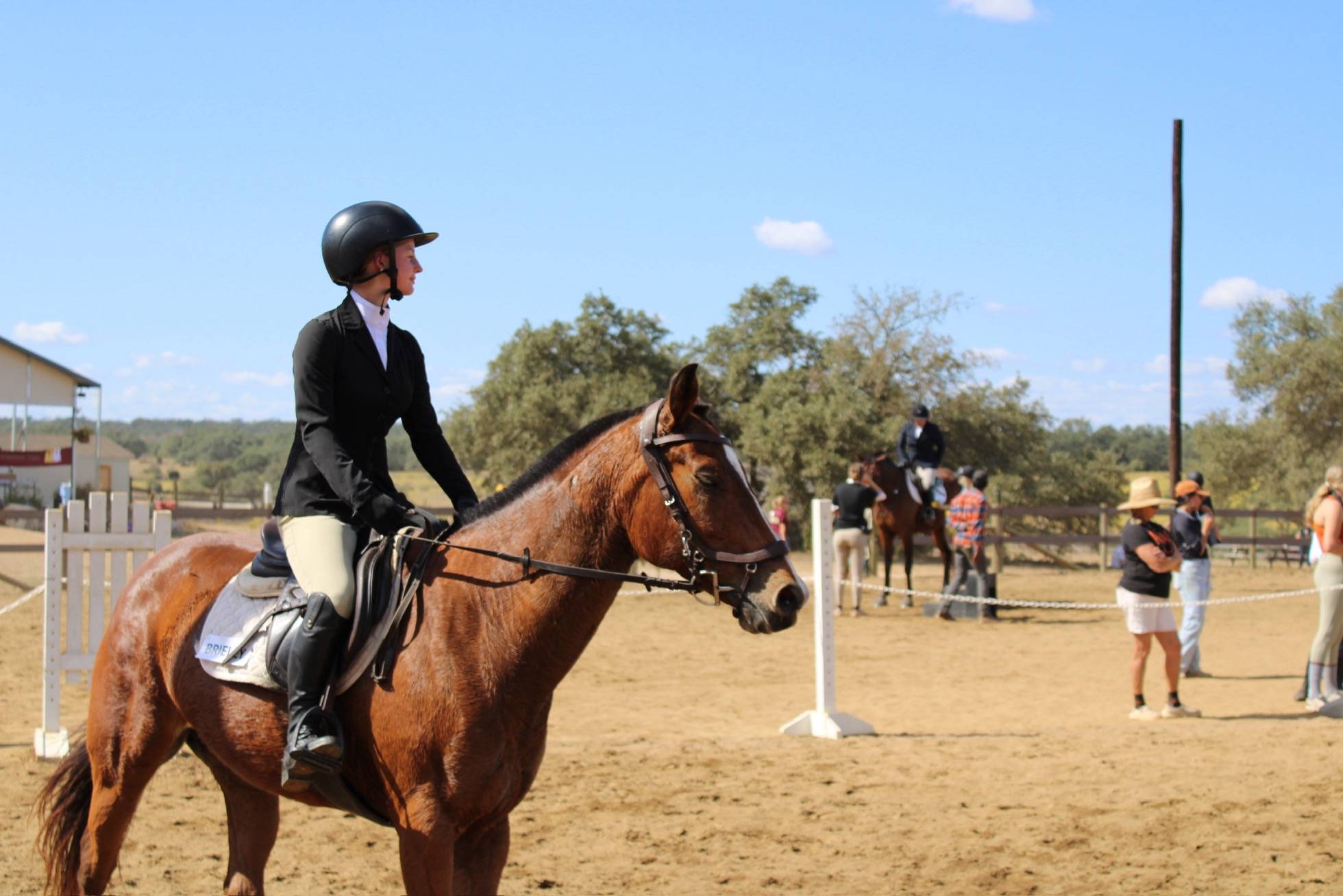 equestrian team with horse at show