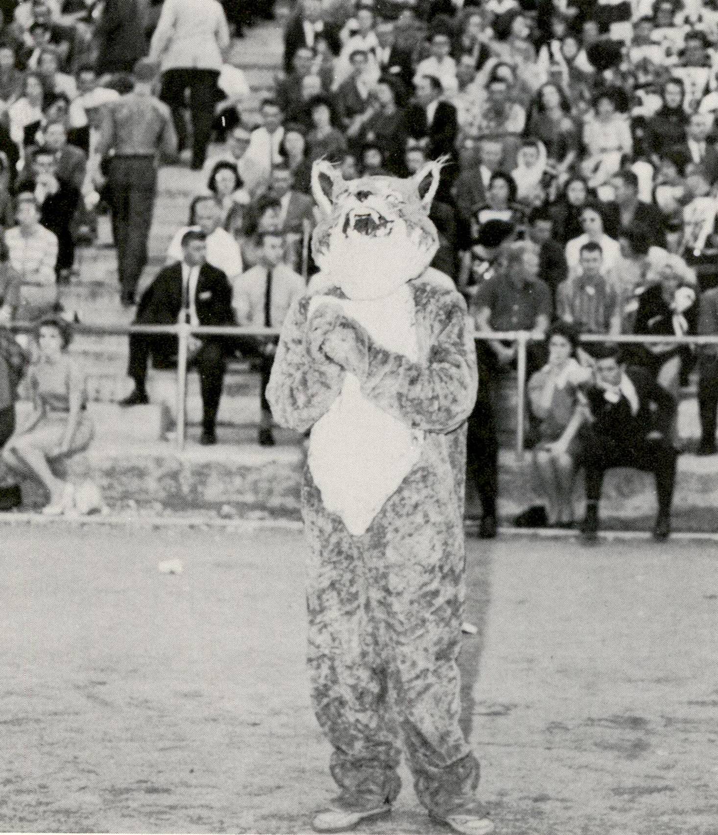 A black-and-white photo of TXST mascot Boko from the 1960s. The friendly feline stands in front of a crowd with its paws clasped by its chest. 