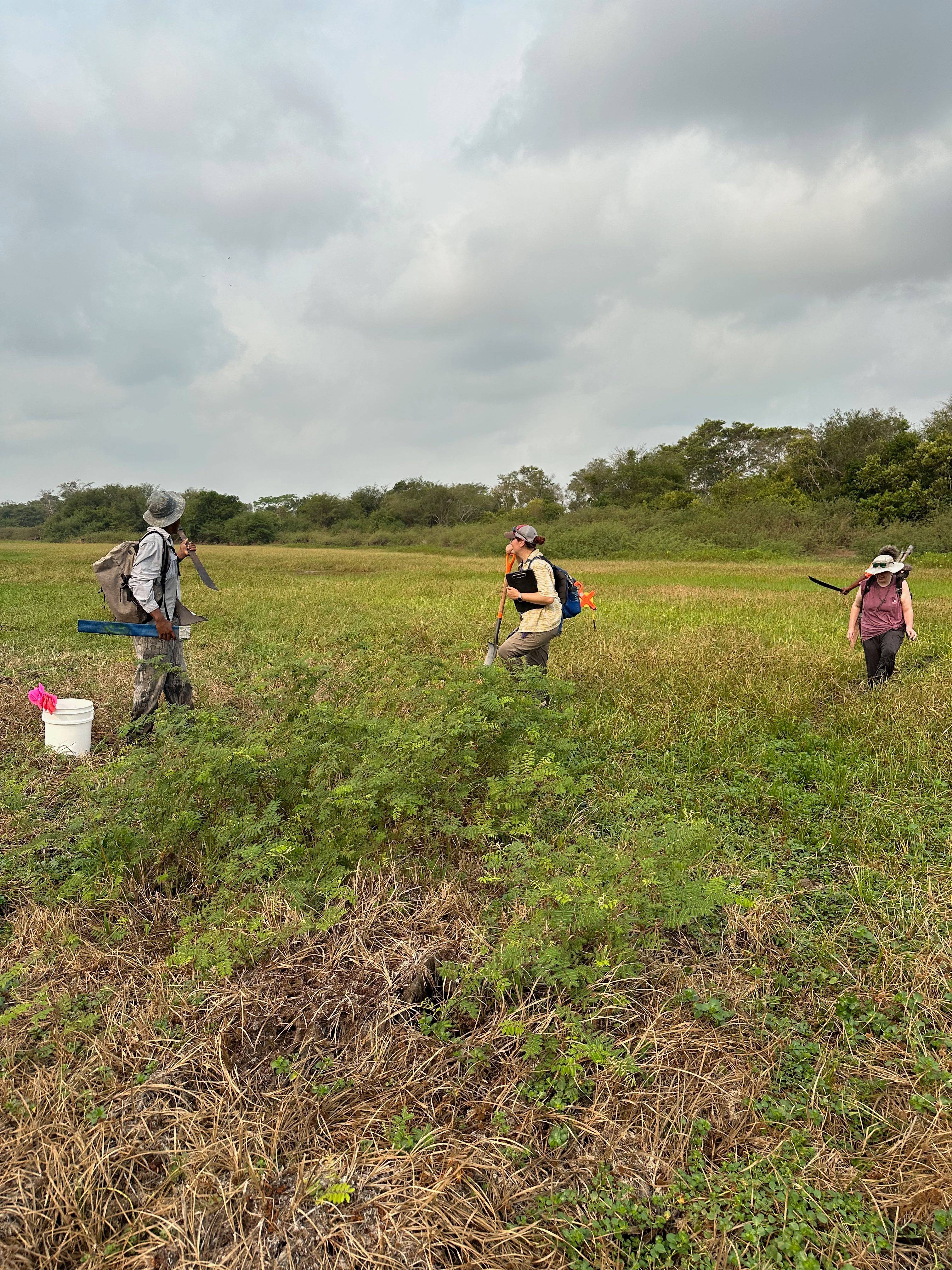 researchers in a field