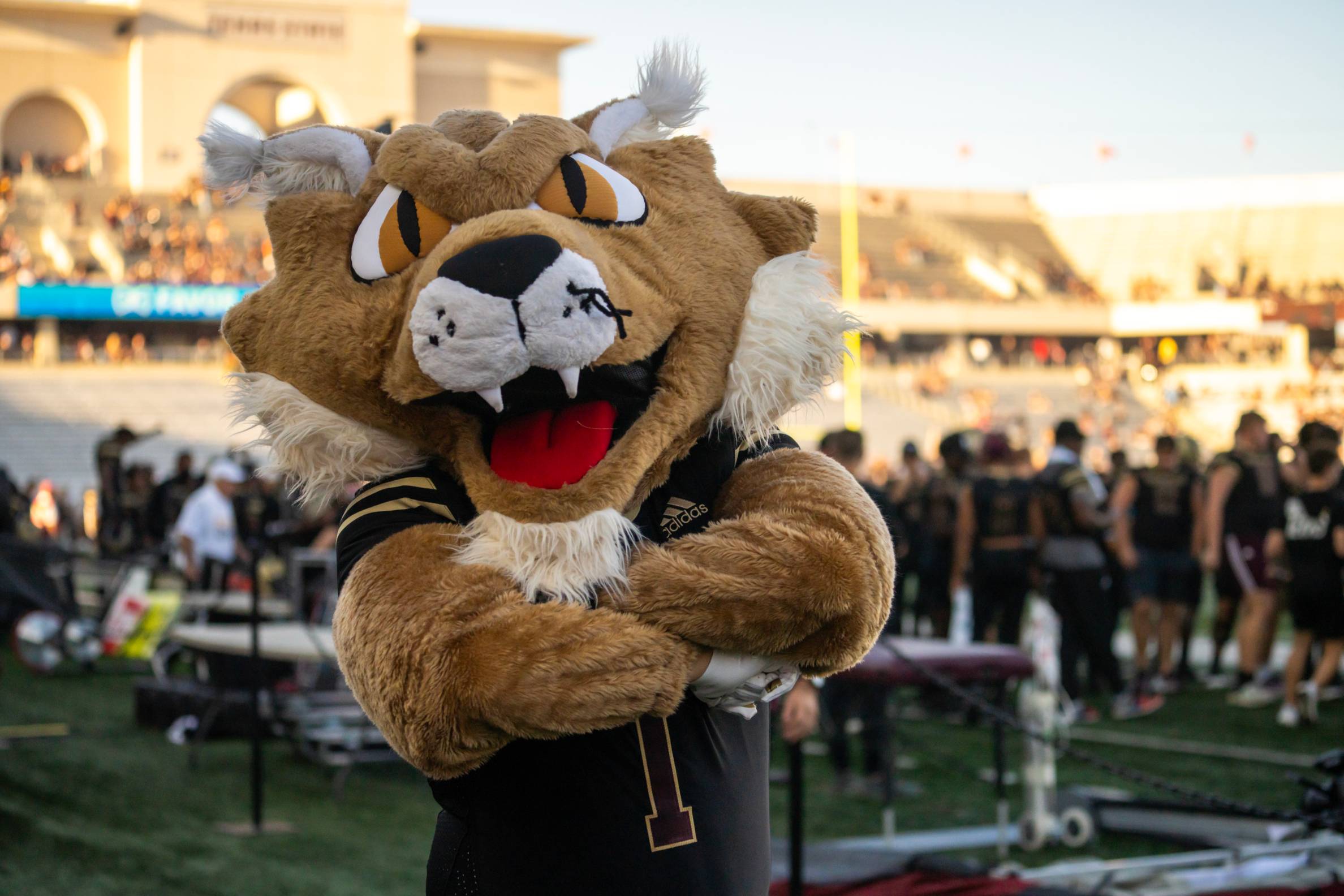 bobcat mascot posing with his arms crossed at football game