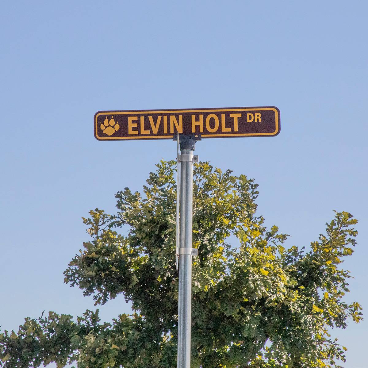 The road sign for Elvin Holt Drive.