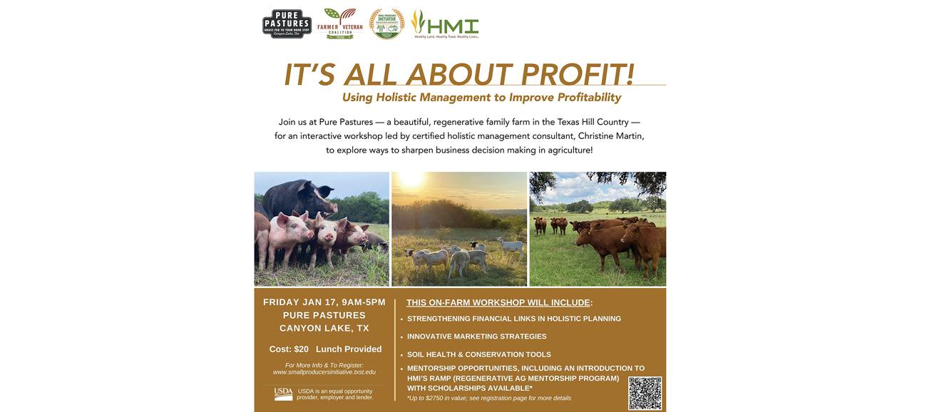 Flier for 'It's All About Profit' Workshop