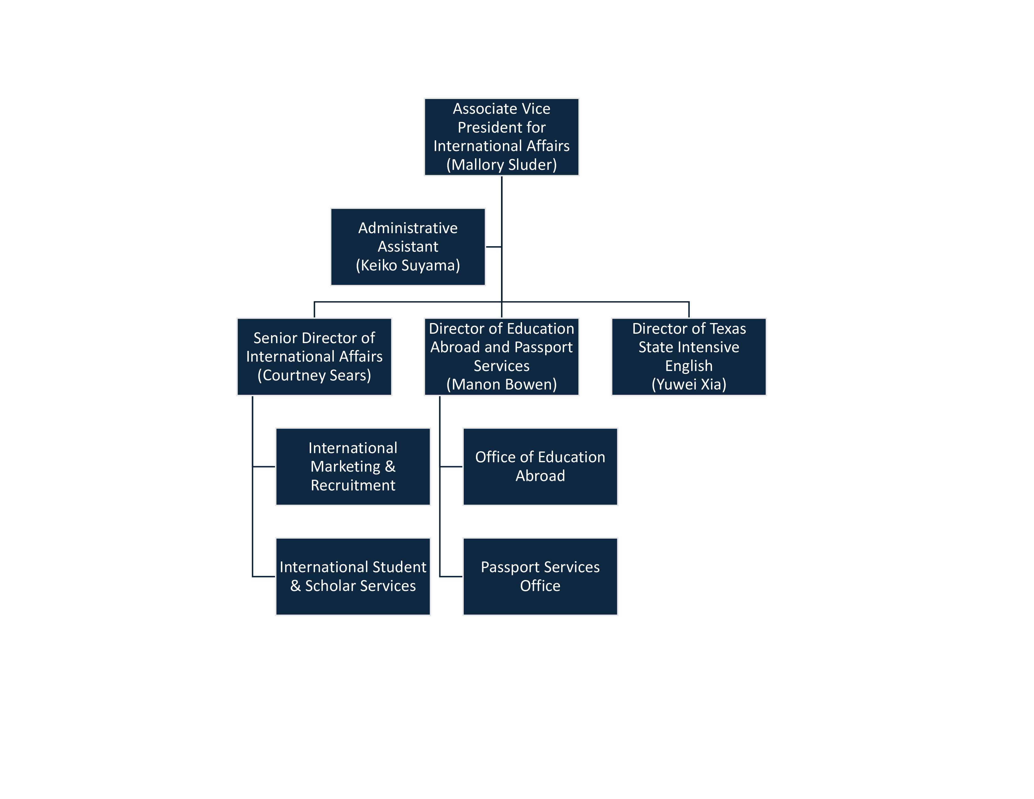 international affairs organization chart