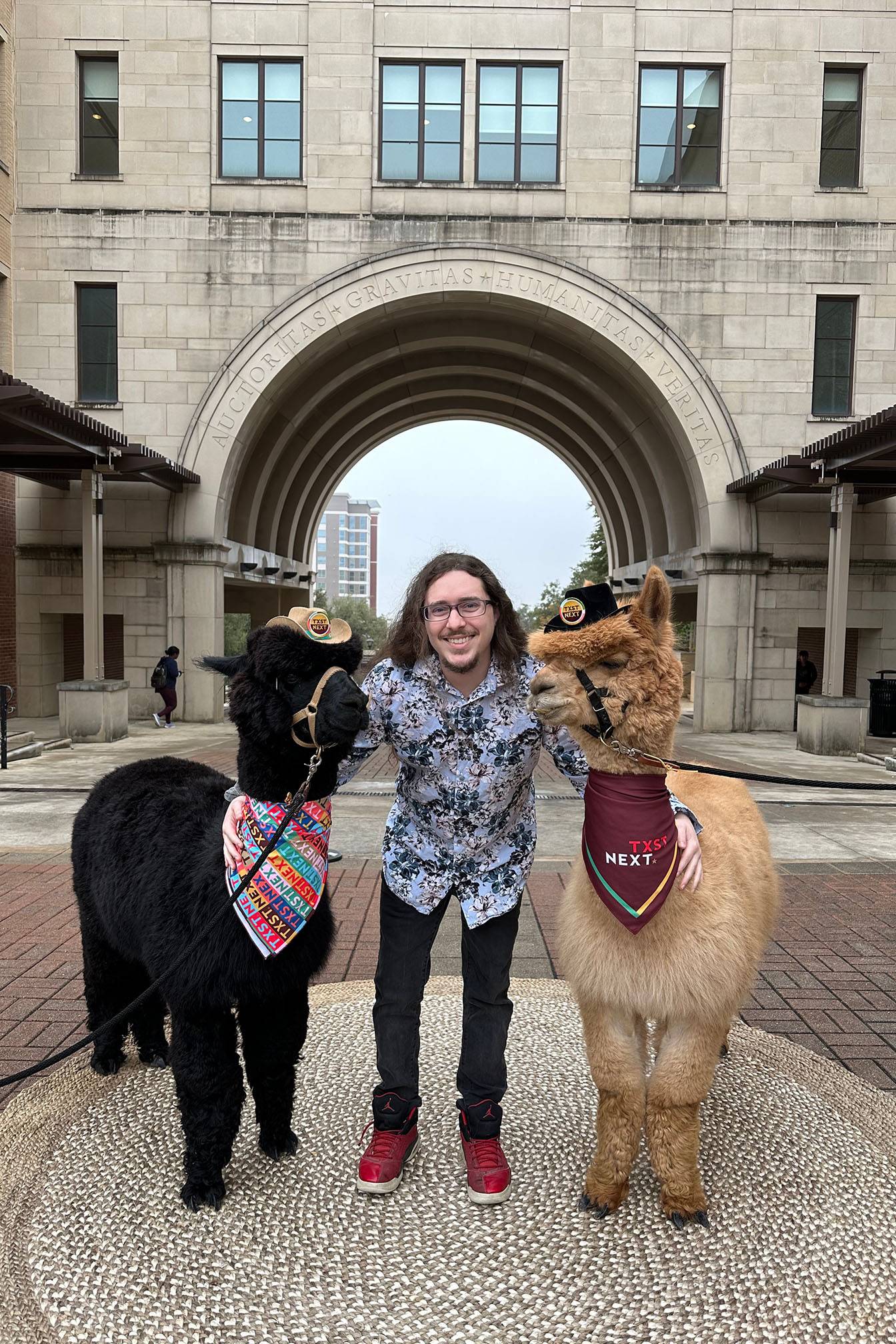 Jonathan Vontsteen poses for a photo with two llamas on campus wearing TXST bandanas.