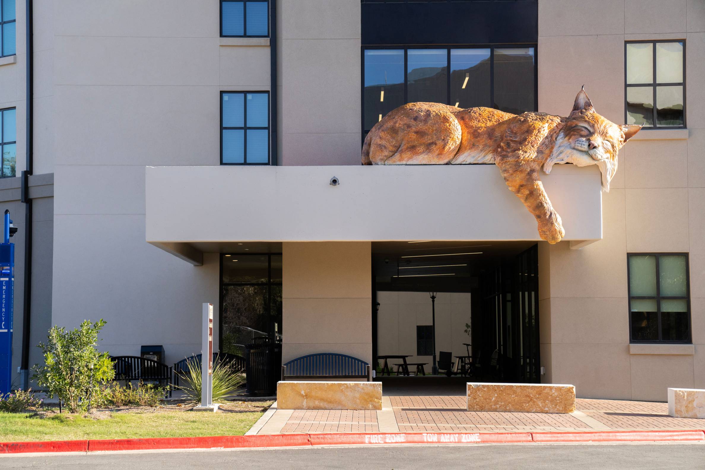 a sculpture of a bobcat on top of a residence hall