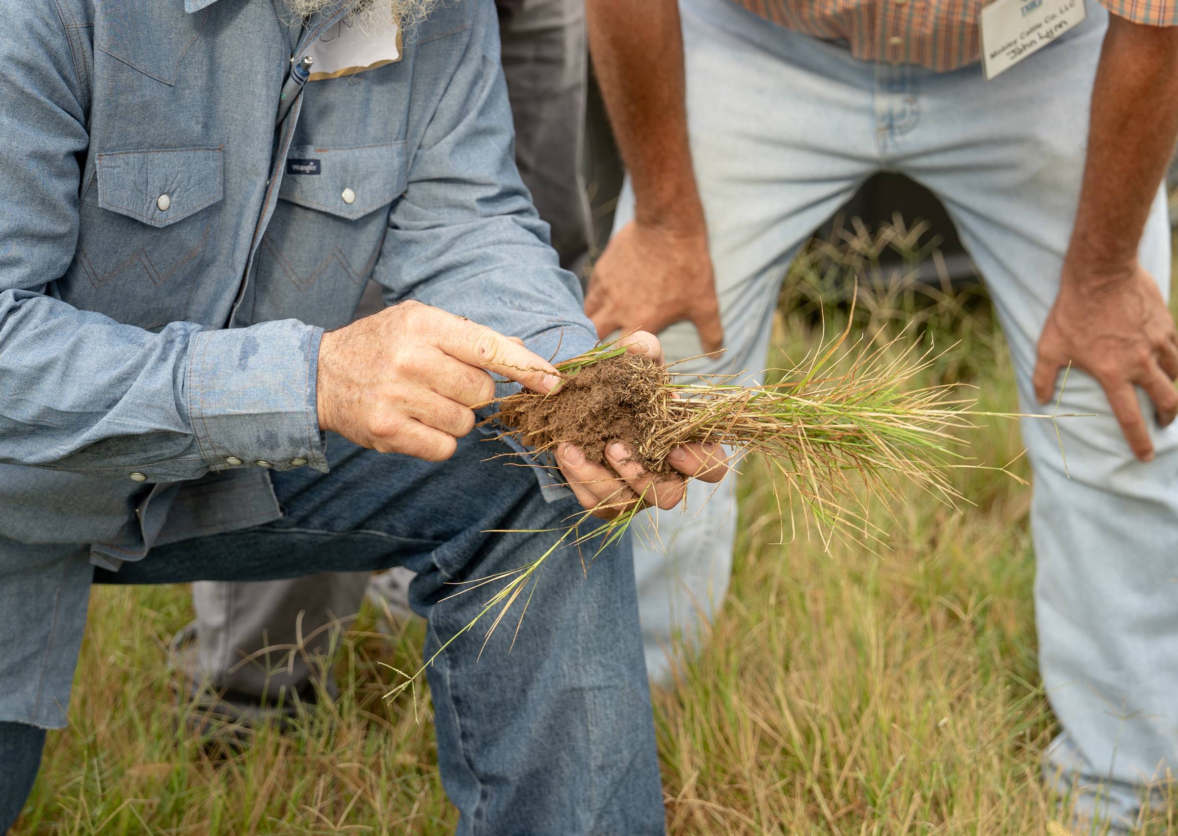 Individual holding root ball of soil