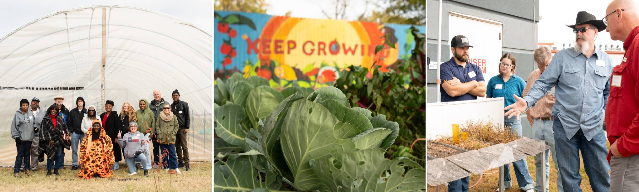 3 photos: a group in front of a high tunnel, a portrait of a cabbage with "keep growing" painted on a fence behind it, and a man pointing to examples of soil in a rain simulator demonstration