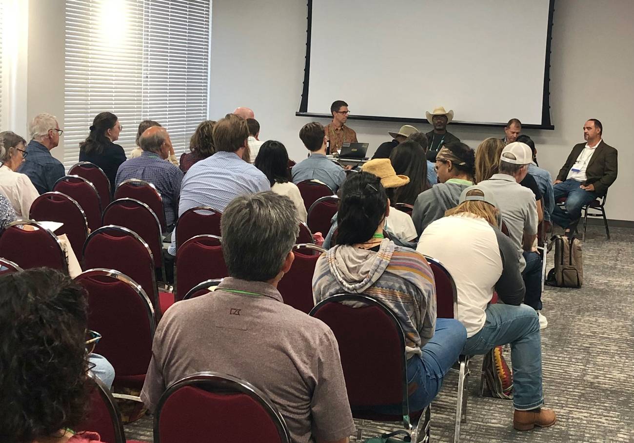 People sitting in a room looking at a projection and presenter.