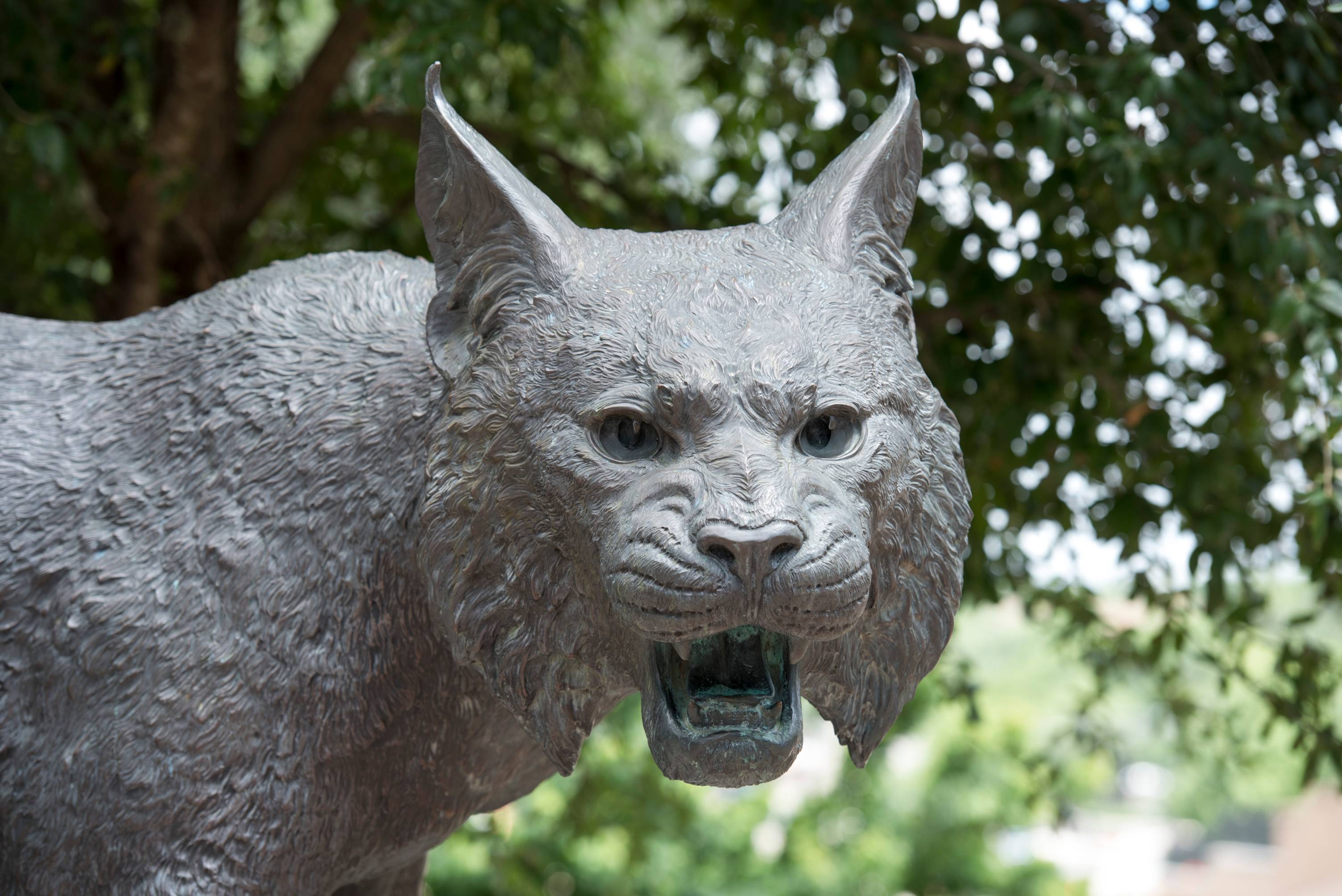 Bobcat Statue