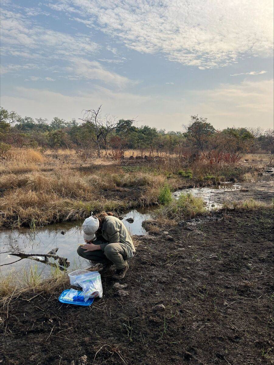 Katie Gerstner Research Grant